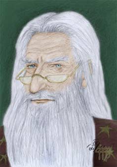 Albus Dumbledore von Luise